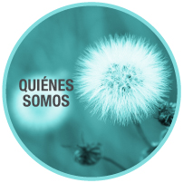 quienes