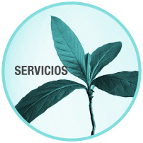 quienes